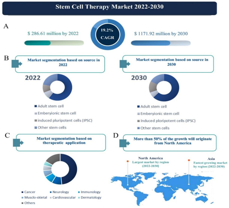 干細(xì)胞治療市場 2022-2030