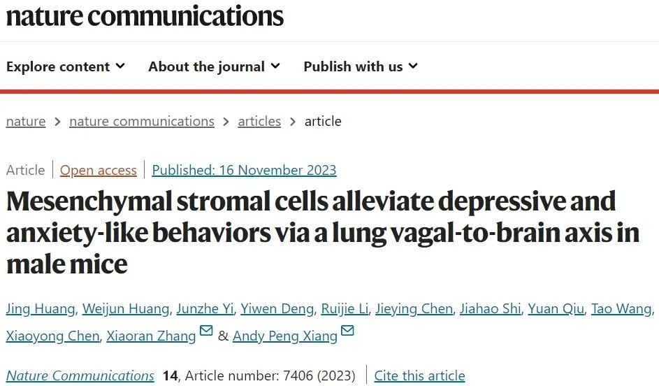 間充質基質細胞通過肺迷走神經-腦軸緩解雄性小鼠的抑郁和焦慮樣行為