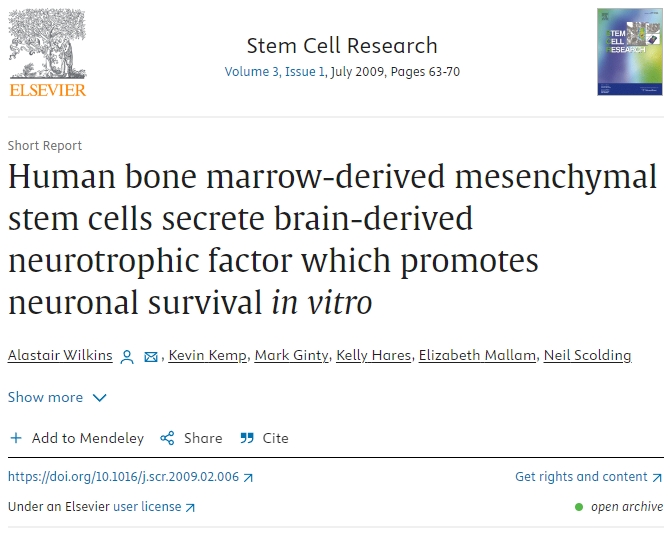 人類骨髓間充質(zhì)干細(xì)胞分泌腦源性神經(jīng)營(yíng)養(yǎng)因子，促進(jìn)體外神經(jīng)元存活