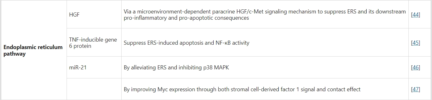 內質網途徑 內質網途徑