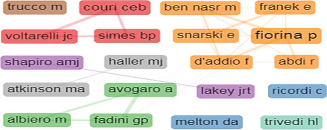 圖5：1型糖尿病干細胞療法的作者合作網(wǎng)絡(luò)。