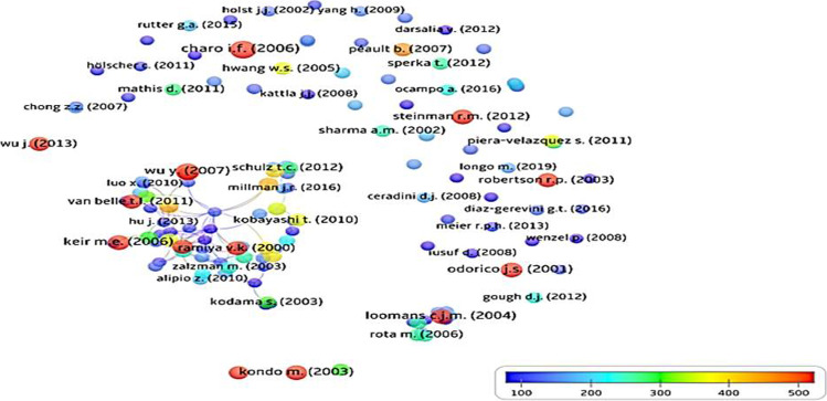 圖6：129篇干細胞治療1型糖尿病高引用出版物的引用計數(shù)網(wǎng)絡(luò)可視化