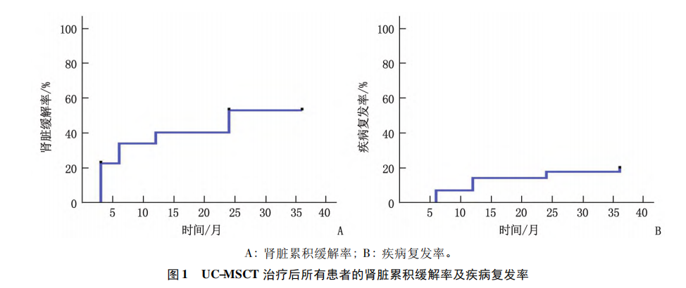 臍帶間充質干細胞移植治療難治性狼瘡性腎炎的遠期預后分析