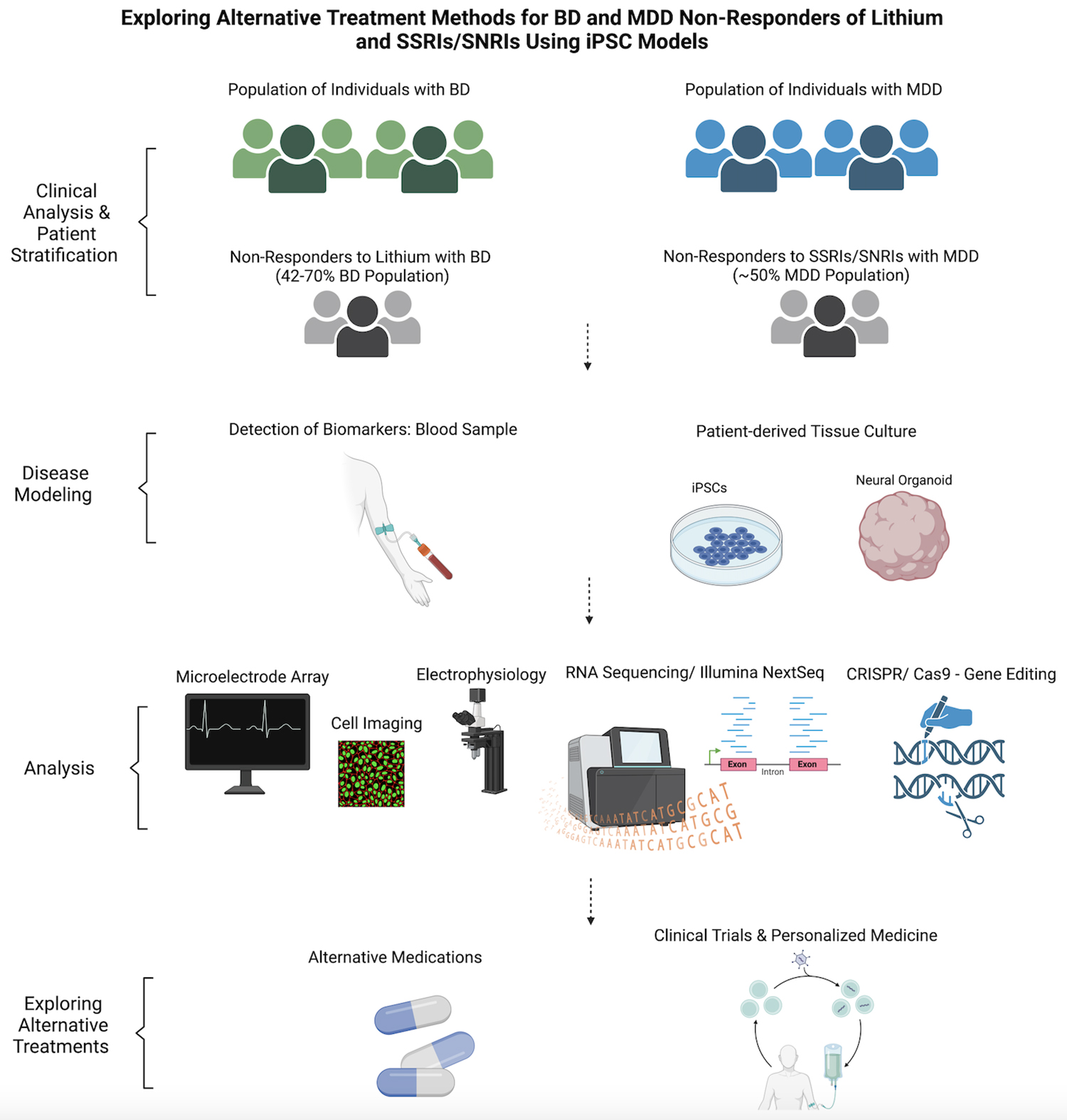 芹菜素更有效地減弱了BD患者iPSC衍生星形膠質(zhì)細胞的炎癥反應(yīng)。
