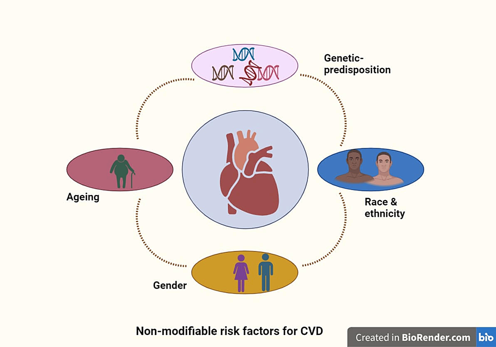 圖1:心血管疾病的不可改變的風險因素。 圖1:心血管疾病的不可改變的風險因素。