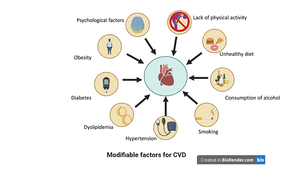 圖2:心血管疾病的可改變風險因素 圖2:心血管疾病的可改變風險因素