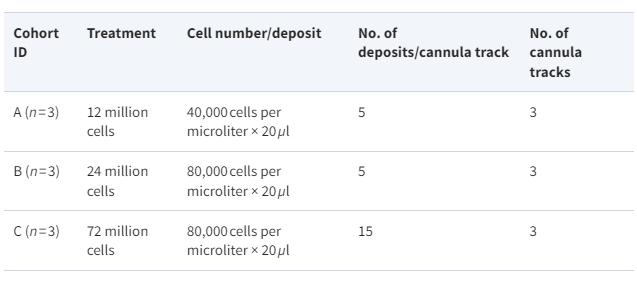 表1:治療分配 表1:治療分配