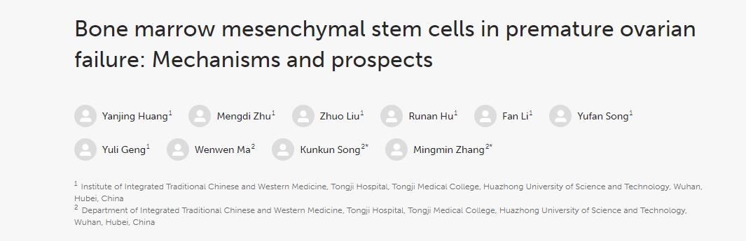 骨髓間充質(zhì)干細(xì)胞在卵巢早衰中的作用：機制與前景