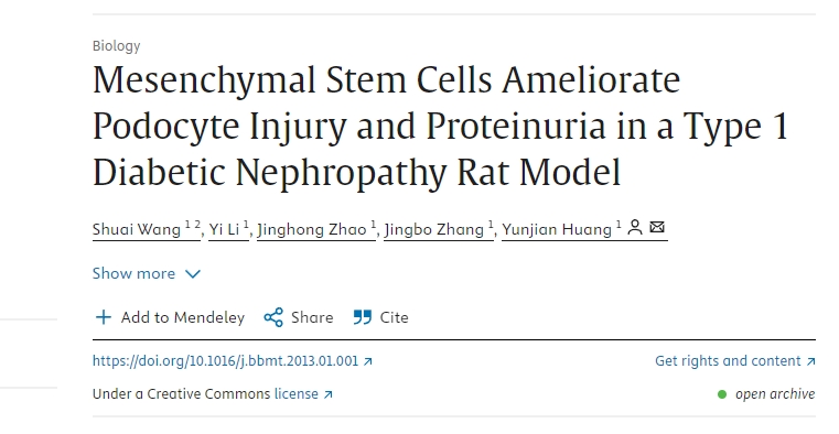 間充質干細胞改善1型糖尿病腎病大鼠模型中的足細胞損傷和蛋白尿