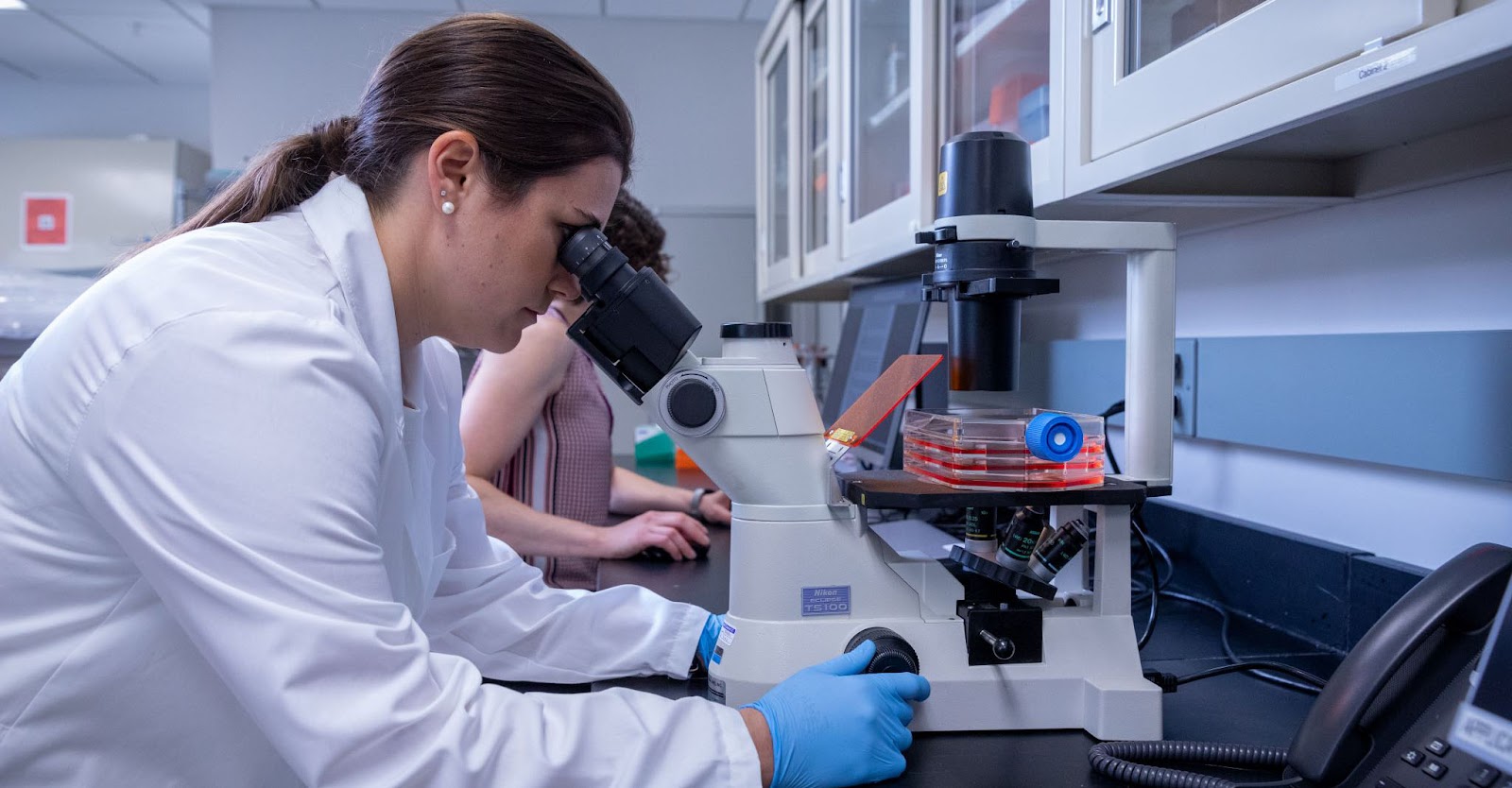 在干細胞用于治療之前，必須對其進行適當的激活和培養。