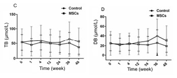 人臍帶間充質(zhì)干細(xì)胞(hUC-MSC)治療對肝硬化失代償期患者肝功能的影響 人臍帶間充質(zhì)干細(xì)胞(hUC-MSC)治療對肝硬化失代償期患者肝功能的影響