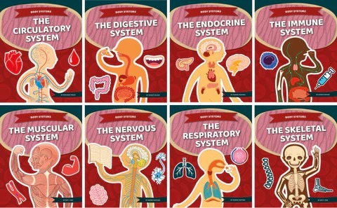 人體八大系統疾病有哪些?間充質干細胞治療的案例有哪些? 人體八大系統疾病有哪些?間充質干細胞治療的案例有哪些?