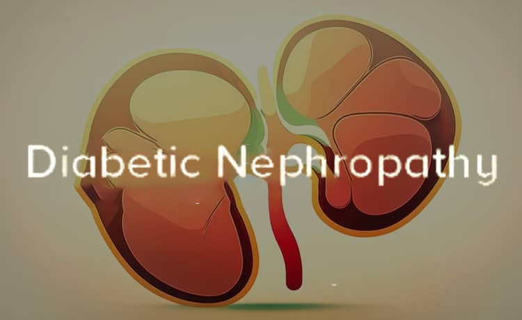 2021-2024年干細胞治療糖尿病腎病患者臨床研究進展 2021-2024年干細胞治療糖尿病腎病患者臨床研究進展