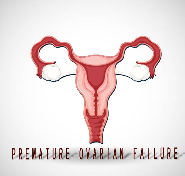 2020-2024年干細胞治療卵巢早衰患者臨床研究進展 2020-2024年干細胞治療卵巢早衰患者臨床研究進展