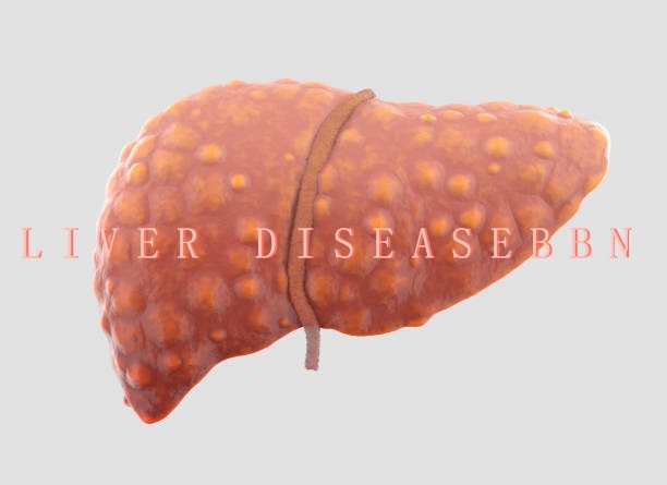 干細胞治療肝病:2021-2024年臨床研究進展回顧 干細胞治療肝病:2021-2024年臨床研究進展回顧