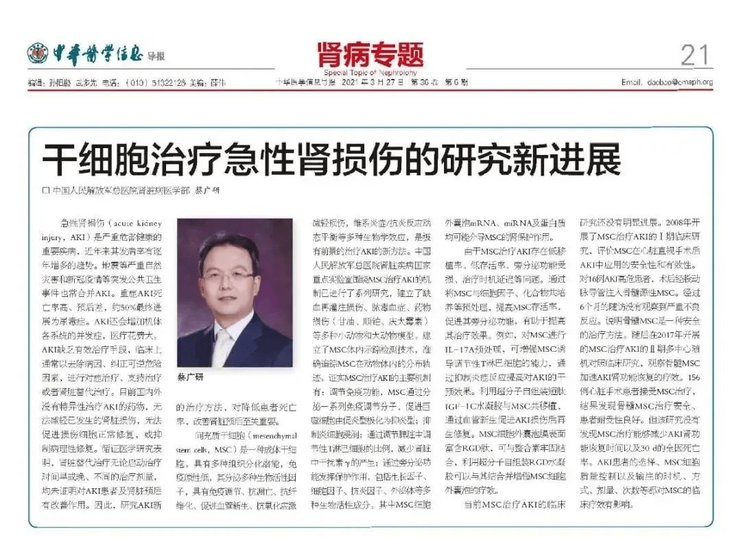干細(xì)胞治療急性腎損傷的研究新進(jìn)展 干細(xì)胞治療急性腎損傷的研究新進(jìn)展