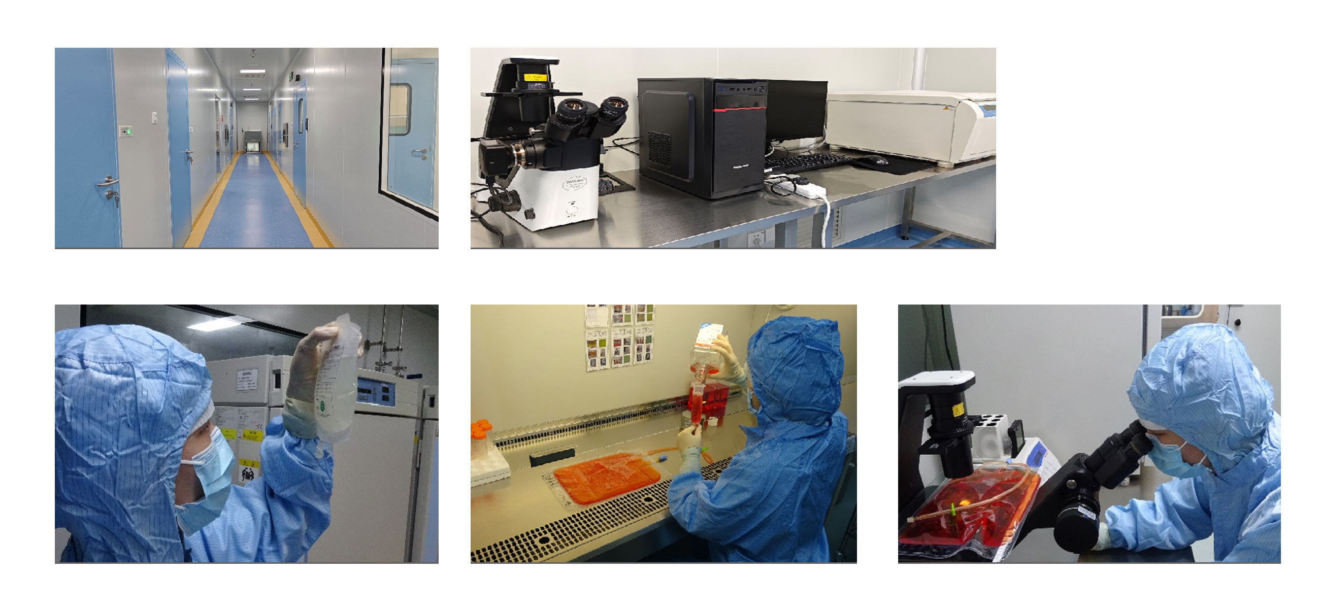 細胞制備中心（GMP）