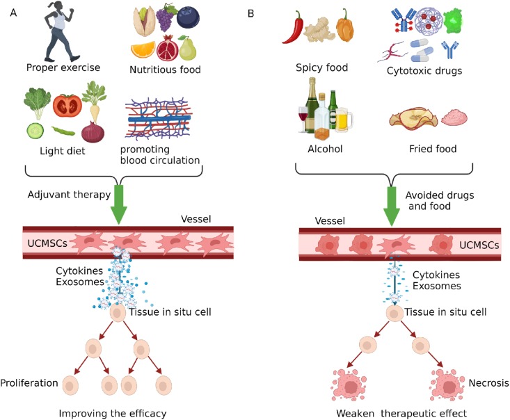 圖3：臍帶間充質(zhì)干細胞治療期間應(yīng)避免輔助療法、藥物及食物。
