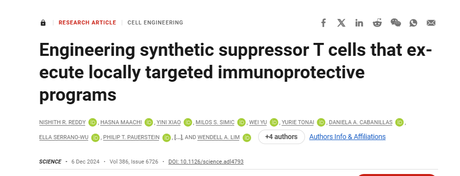設計合成的抑制性-T-細胞來執行局部靶向免疫保護程序 設計合成的抑制性 T 細胞來執行局部靶向免疫保護程序