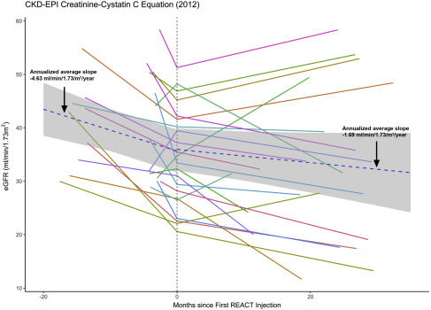 圖1:eGFR(肌酐和胱抑素 C,2012CKD-EPI)對SRC注射的反應(yīng)。 圖1:eGFR(肌酐和胱抑素 C,2012CKD-EPI)對SRC注射的反應(yīng)。