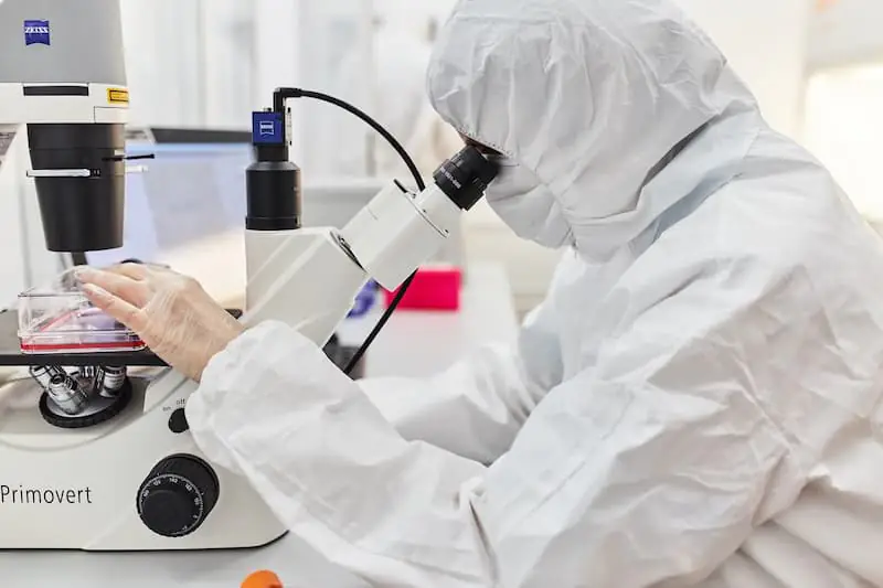 使用顯微鏡監測干細胞的活力 使用顯微鏡監測干細胞的活力