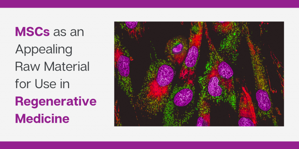 間充質(zhì)干細(xì)胞是再生醫(yī)學(xué)領(lǐng)域極具吸引力的原材料 間充質(zhì)干細(xì)胞是再生醫(yī)學(xué)領(lǐng)域極具吸引力的原材料