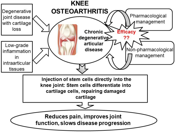 圖5：關(guān)節(jié)內(nèi)注射干細(xì)胞再生膝關(guān)節(jié)軟骨作為膝關(guān)節(jié)骨關(guān)節(jié)炎治療選擇的總結(jié)。