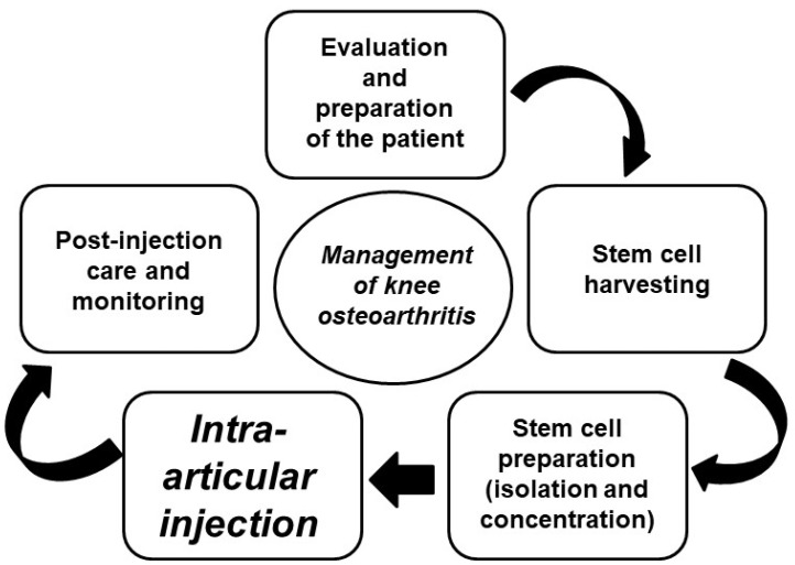 圖4：干細(xì)胞治療膝關(guān)節(jié)骨關(guān)節(jié)炎的過程