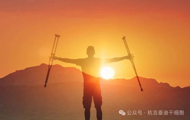 探尋脊髓損傷神經再生之路,神經干細胞移植技術在眾多方法中脫穎而出 探尋脊髓損傷神經再生之路,神經干細胞移植技術在眾多方法中脫穎而出