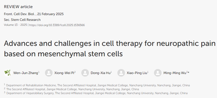 基于間充質干細胞的神經性疼痛細胞治療進展與挑戰 基于間充質干細胞的神經性疼痛細胞治療進展與挑戰