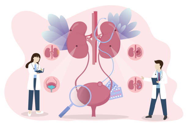 探索干細胞療法：真的能減少腎病患者的透析頻率嗎？