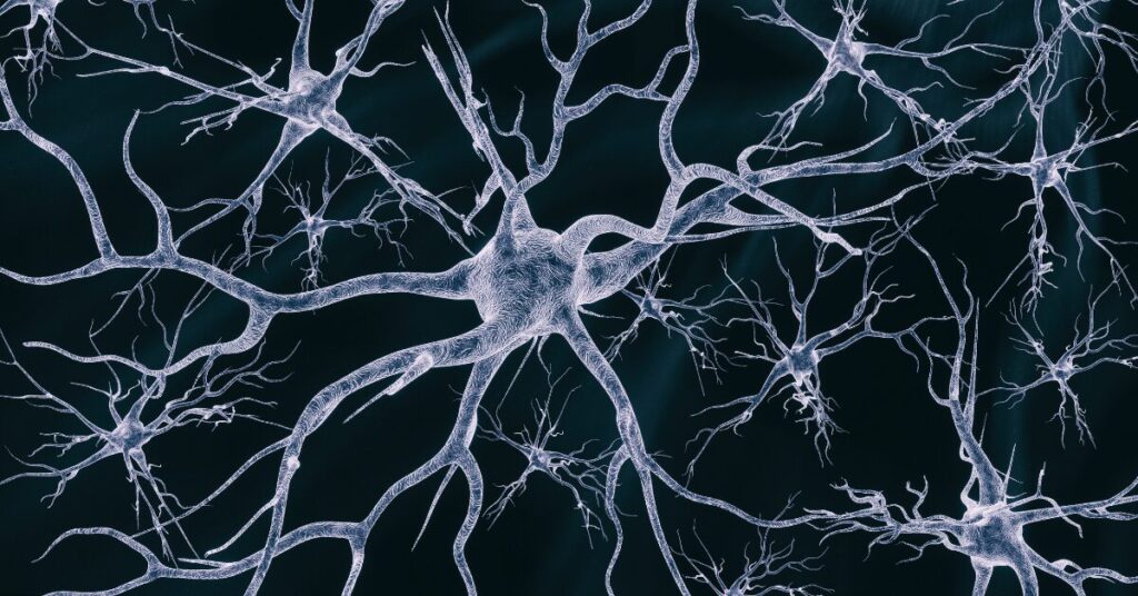 神經(jīng)干細胞移植在神經(jīng)退行性疾病治療和藥物開發(fā)中的作用 神經(jīng)干細胞移植在神經(jīng)退行性疾病治療和藥物開發(fā)中的作用