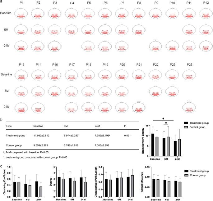 腦功能網(wǎng)絡分析