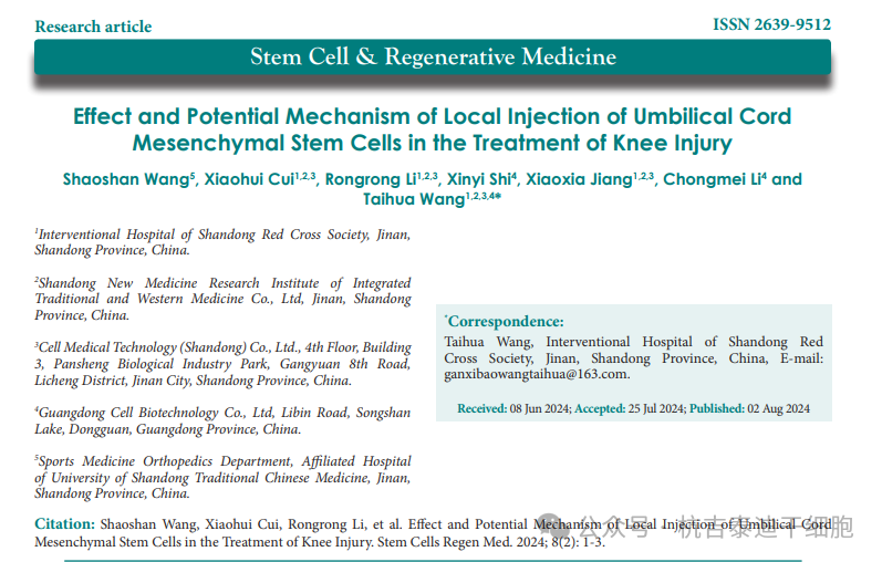 臍帶間充質干細胞局部注射治療膝關節損傷的療效及潛在機制