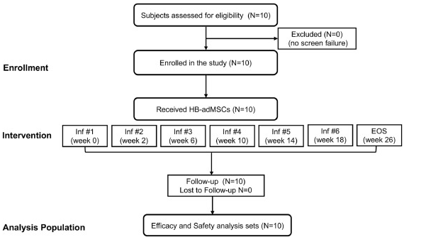 中型擴(kuò)展訪問計(jì)劃的 CONSORT 流程圖