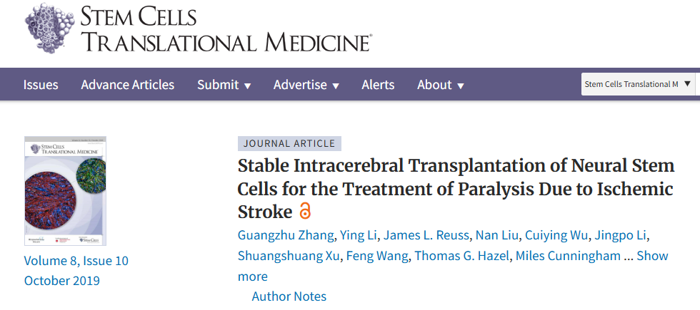 神經(jīng)干細(xì)胞穩(wěn)定腦內(nèi)移植治療缺血性中風(fēng)所致癱瘓 神經(jīng)干細(xì)胞穩(wěn)定腦內(nèi)移植治療缺血性中風(fēng)所致癱瘓