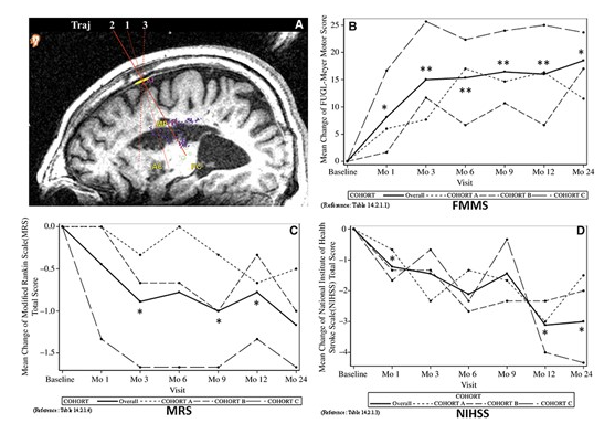 24 個(gè)月隨訪的臨床結(jié)果 24 個(gè)月隨訪的臨床結(jié)果