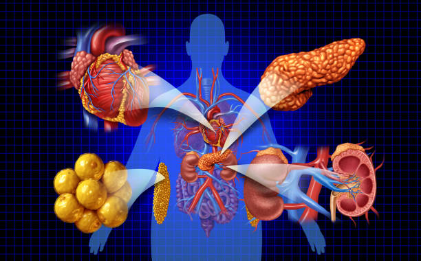 新視角：優(yōu)化間充質(zhì)干細胞治療糖尿病腎病療效的方式有哪些？
