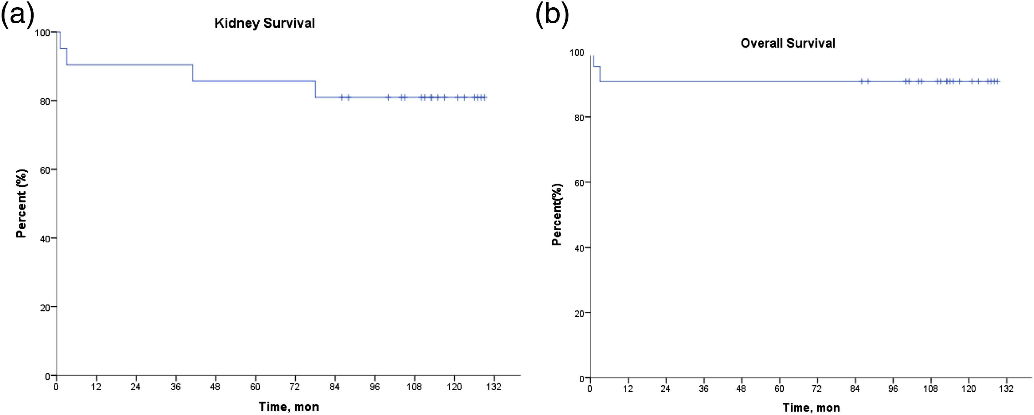 圖1:研究中患者的腎臟生存率和總生存率。 圖1:研究中患者的腎臟生存率和總生存率。