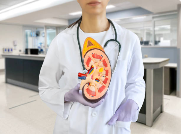 哪些腎病患者適合嘗試干細胞治療?覆蓋急性、慢性及免疫相關腎病 哪些腎病患者適合嘗試干細胞治療?覆蓋急性、慢性及免疫相關腎病