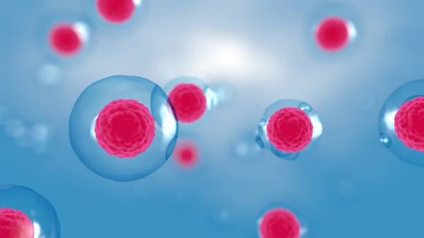 間充質(zhì)干細(xì)胞雙機(jī)制協(xié)同:免疫調(diào)節(jié)+旁分泌活性解鎖自身免疫疾病治療新維度 間充質(zhì)干細(xì)胞雙機(jī)制協(xié)同:免疫調(diào)節(jié)+旁分泌活性解鎖自身免疫疾病治療新維度