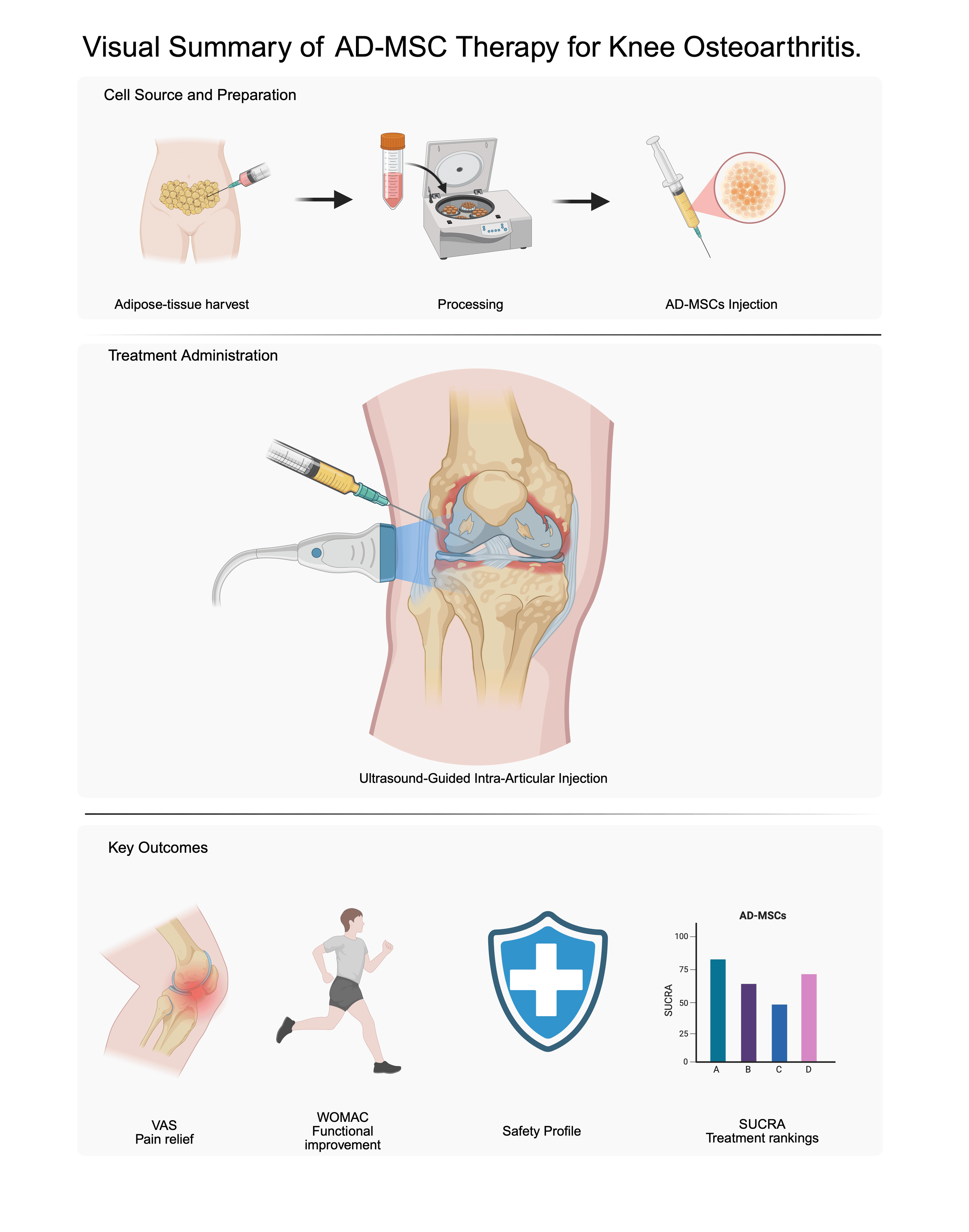 圖1:脂肪間充質(zhì)干細(xì)胞治療膝骨關(guān)節(jié)炎的概述 圖1:脂肪間充質(zhì)干細(xì)胞治療膝骨關(guān)節(jié)炎的概述