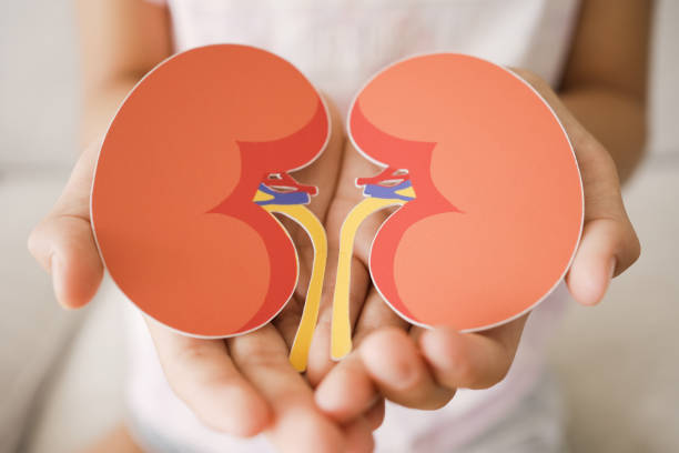 間充質(zhì)干細胞治療腎臟疾病：真的安全嗎？