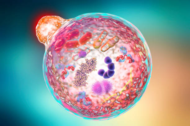 治愈疾病的建筑師(細胞):細胞療法的醫學發展史?