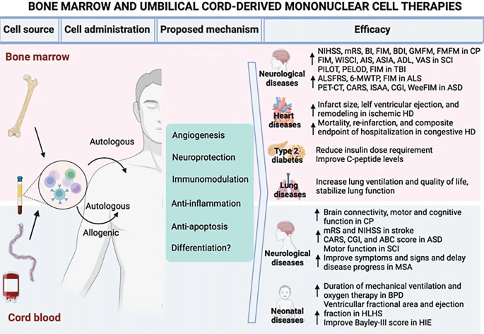 圖1：BMMNC和UCB-MNC的潛在應(yīng)用。