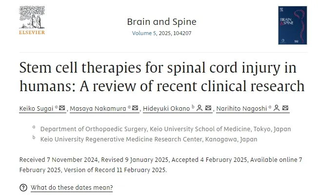 人類脊髓損傷的干細(xì)胞療法:近期臨床研究進(jìn)展與轉(zhuǎn)化路徑分析 人類脊髓損傷的干細(xì)胞療法:近期臨床研究進(jìn)展與轉(zhuǎn)化路徑分析