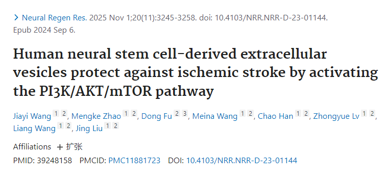 人類神經(jīng)干細(xì)胞來源的細(xì)胞外囊泡通過激活PI3K/AKT/mTOR通路發(fā)揮抗缺血性卒中的保護(hù)作用