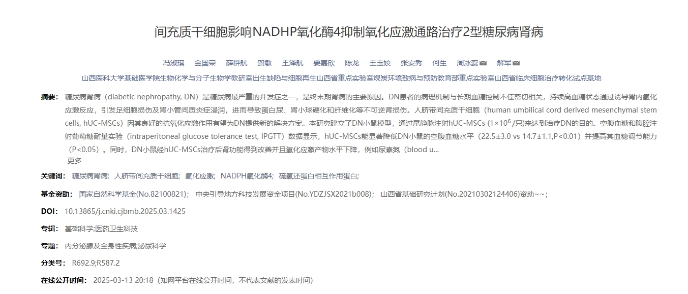 間充質(zhì)干細(xì)胞影響NADHP氧化酶4抑制氧化應(yīng)激通路治療2型糖尿病腎病 間充質(zhì)干細(xì)胞影響NADHP氧化酶4抑制氧化應(yīng)激通路治療2型糖尿病腎病