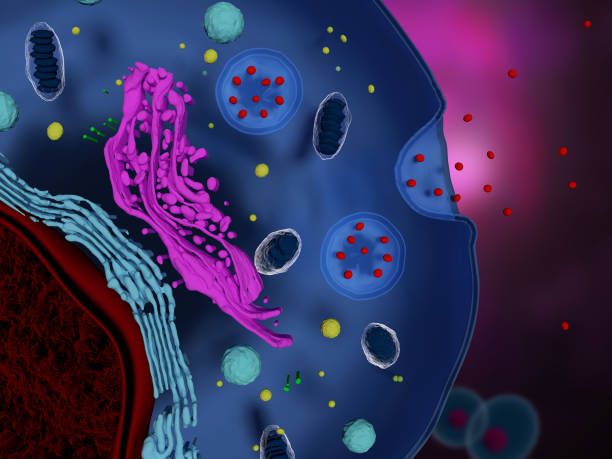 什么是間充質(zhì)干細(xì)胞外泌體-治療機(jī)制-為何未大規(guī)模臨床應(yīng)用? 什么是間充質(zhì)干細(xì)胞外泌體-治療機(jī)制-為何未大規(guī)模臨床應(yīng)用?
