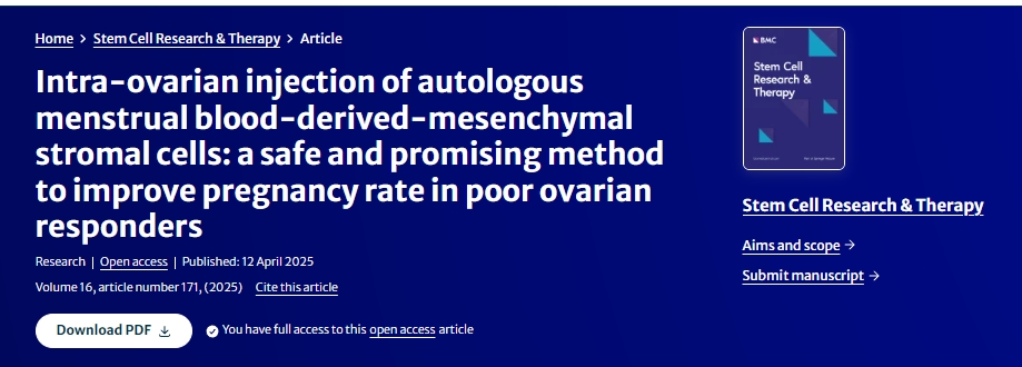 卵巢內注射自體月經血來源的間充質基質細胞:一種安全且有前景的提高卵巢反應不佳者妊娠率的方法 卵巢內注射自體月經血來源的間充質基質細胞:一種安全且有前景的提高卵巢反應不佳者妊娠率的方法